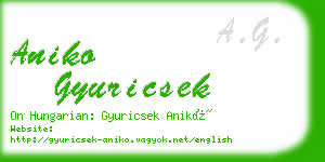 aniko gyuricsek business card